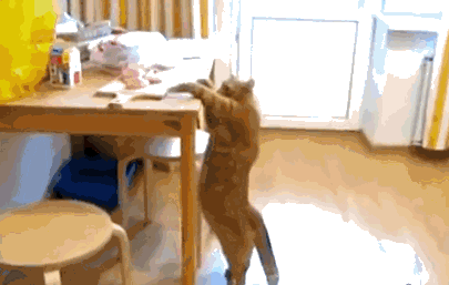 Un tuyau extensible rend accessible les endroits auparavant difficiles d'accès