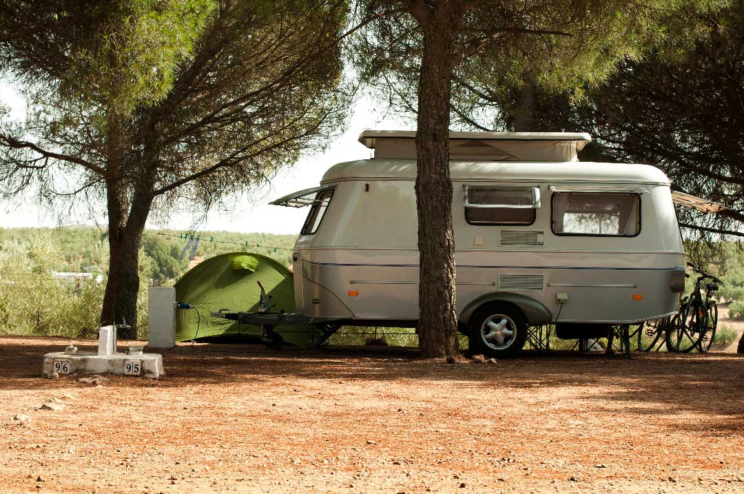 Roulotte de camping sous un arbre