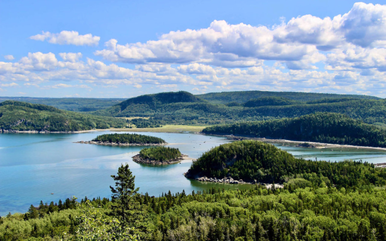 parc-du-bic-2_1.jpg