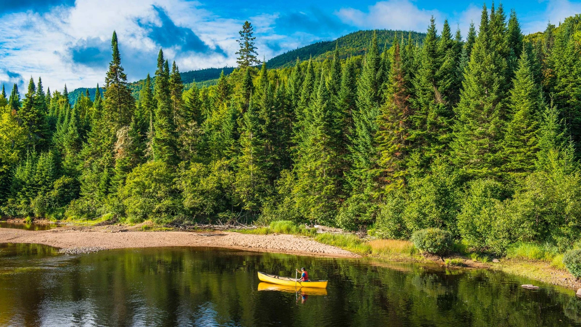 Parc national du Mont-Tremblant