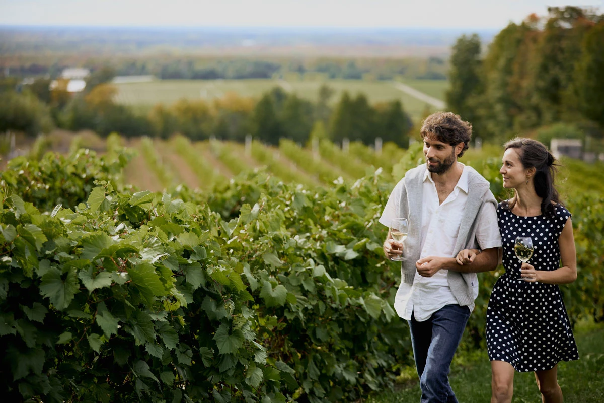 couple dans un vignoble, Brome-Missisquoi