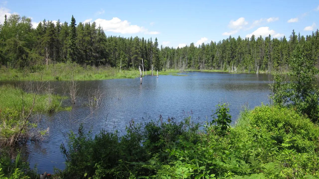 Parc national de la Pointe-Taillon