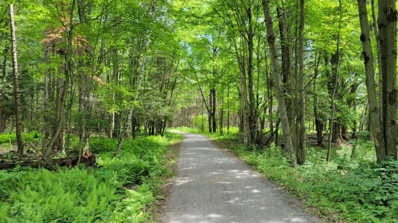 Parc national de la Yamaska
