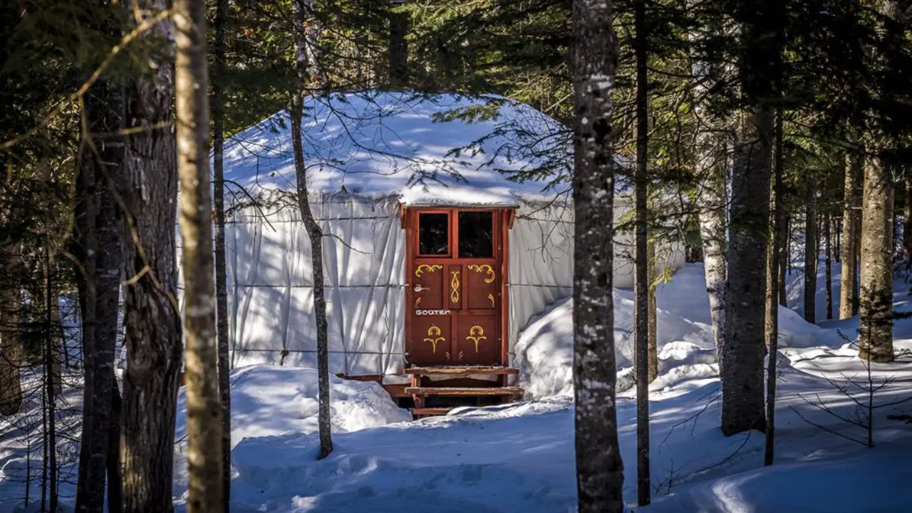 petite hutte en forêt en hiver