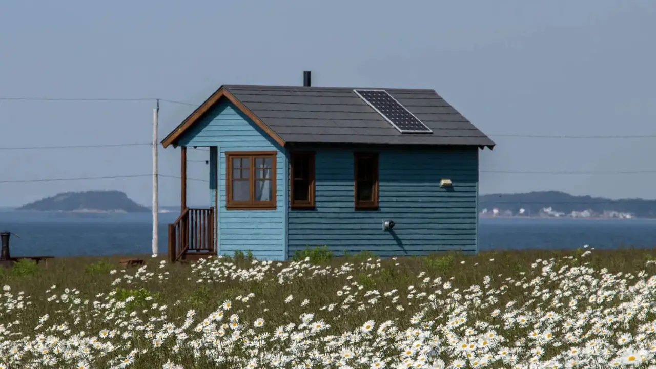 petit chalet au milieu d'un champ fleuri