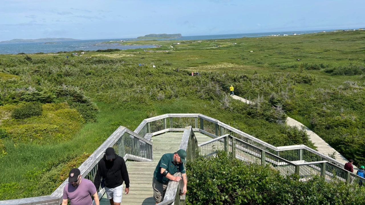vue d'un parc à L'anse aux Meadows