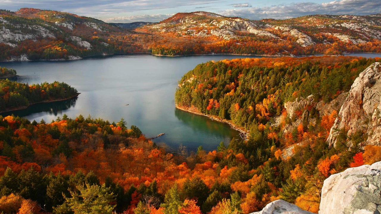 vue aérienne du Parc Killarney en automne