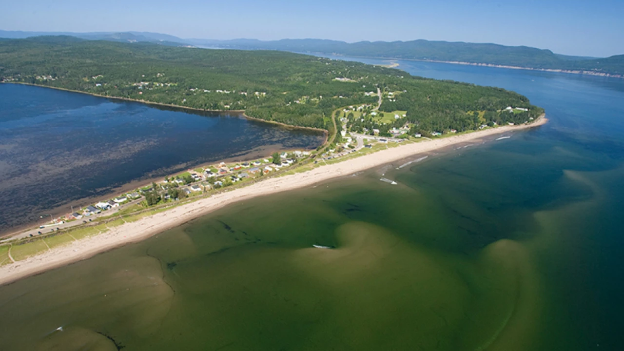 vue aérienne de la plage Haldimand