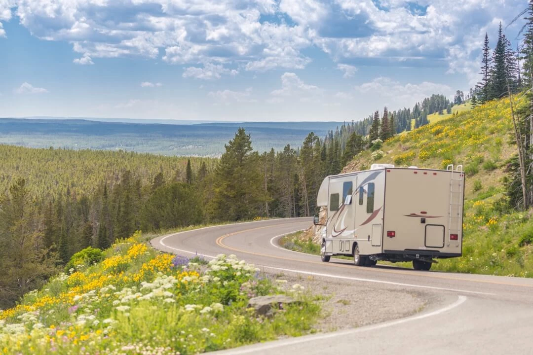 Vue 3/4 arrière d'un VR roulant au milieu des pins et des fleurs sur une route en nature.