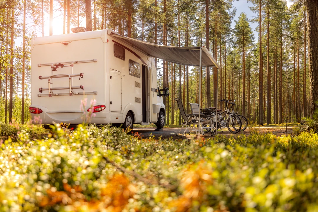 VR blanc avec auvent déployé en pleine forêt, deux vélos stationnés à l’avant et mobilier de camping installé à l’ombre.