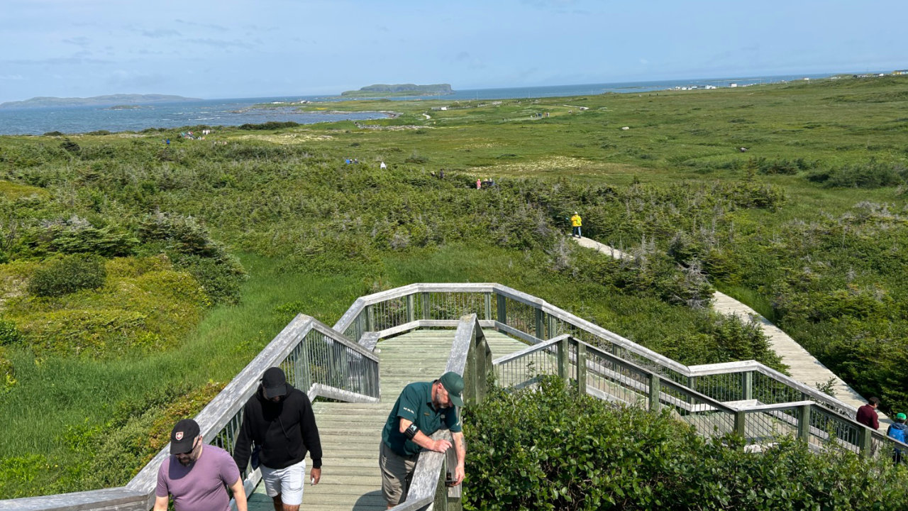 vue d'un parc à L'anse aux Meadows