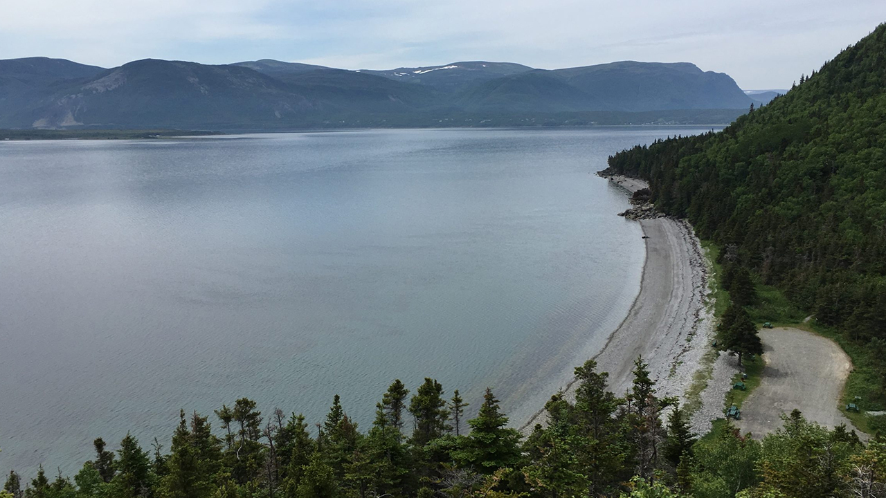 Vue d'un Parc Faunique à Terre-Neuve et d'un campings aménagés