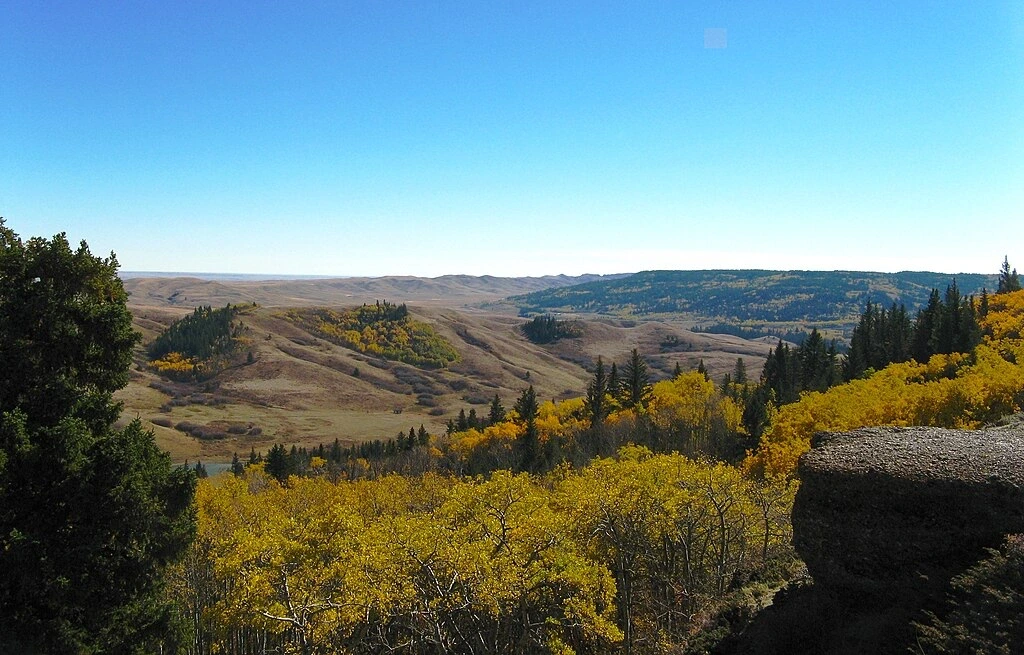 Paysage vallonné du parc interprovincial Cypress Hills sous un ciel bleu, illustrant la nature spectaculaire entre Maple Creek et Brooks.